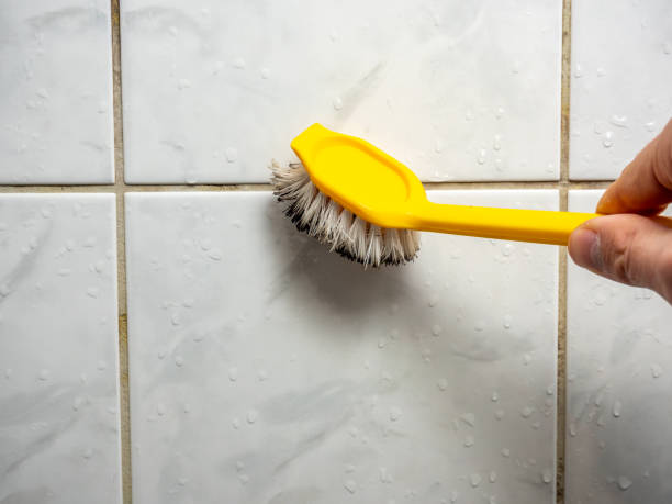 Best Emergency Mold Removal  in Reston, VA