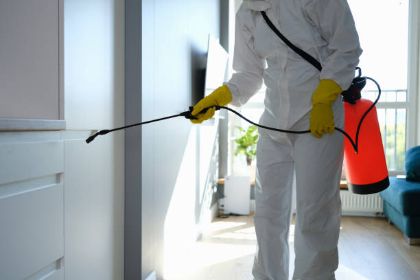 Best Professional Mold Removal  in Reston, VA