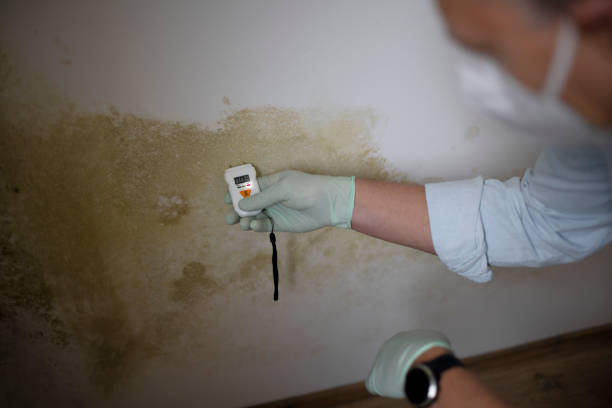 Crawl Space Mold Removal in Reston, VA