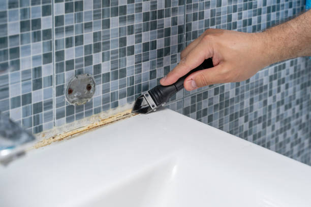 Best Commercial Mold Removal  in Reston, VA