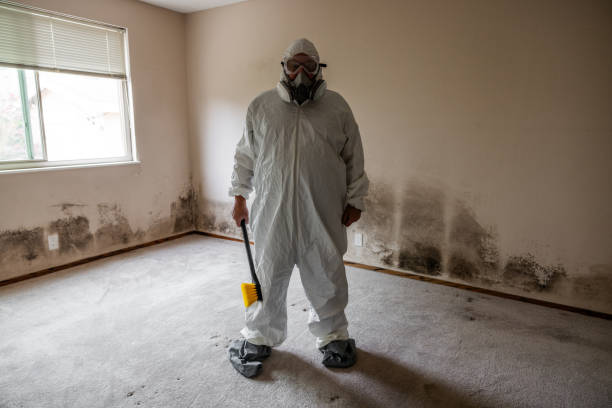 Best Crawl Space Mold Removal  in Reston, VA